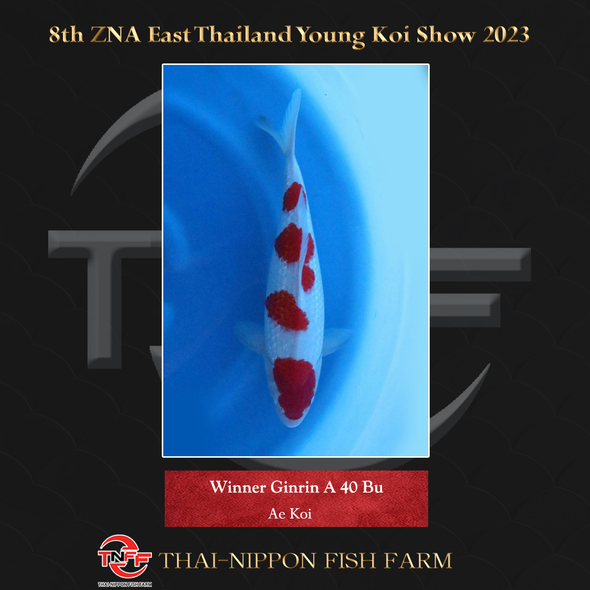 8th ZNA East Thailand Young Koi Show 2023
