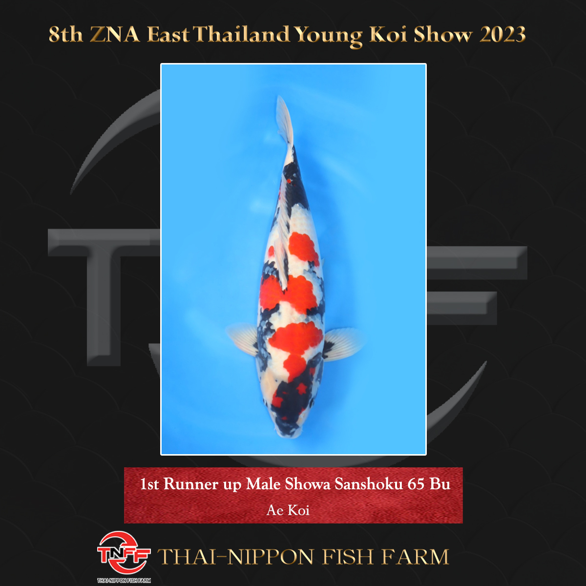 8th ZNA East Thailand Young Koi Show 2023