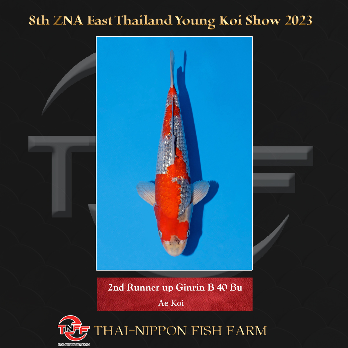 8th ZNA East Thailand Young Koi Show 2023