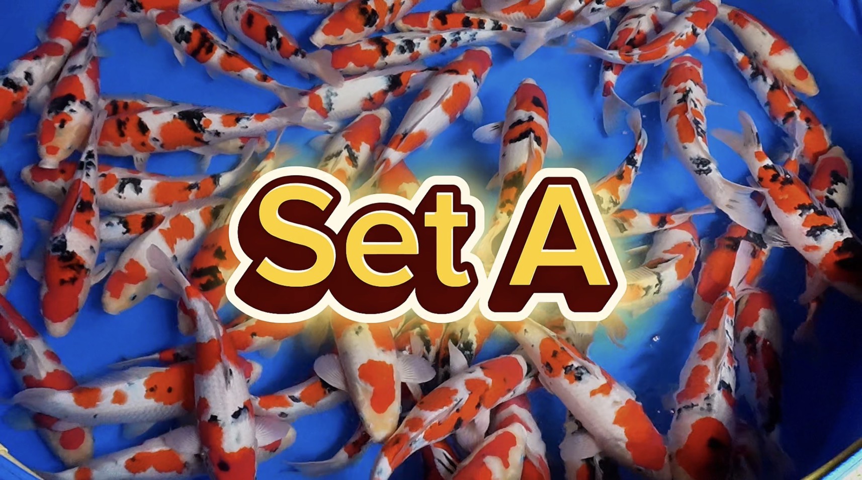 S__58605571