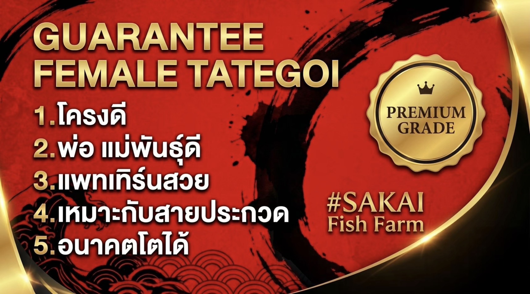 GUARANTEE FAMALE TATEGOI